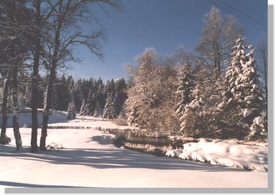 Winter in Schönwald